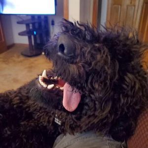 Meet your Posher, Wendy